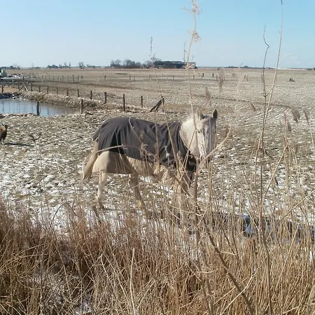 Apartament Radmokerhuus *