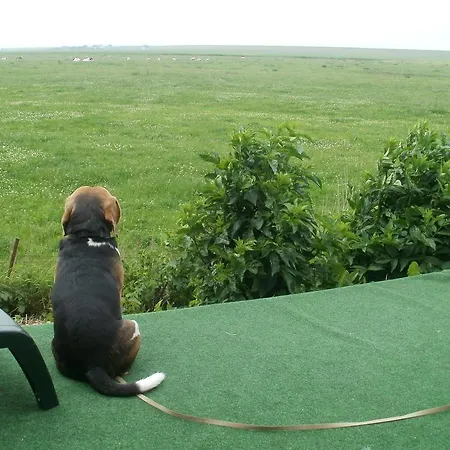 Radmokerhuus Pellworm