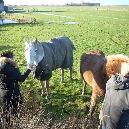 Radmokerhuus Apartament *