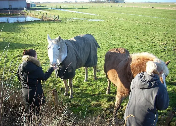 Radmokerhuus Lägenhet *